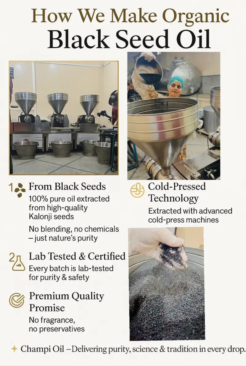 Pure cold-pressed extraction of organic black seed oil by Champi Oil.