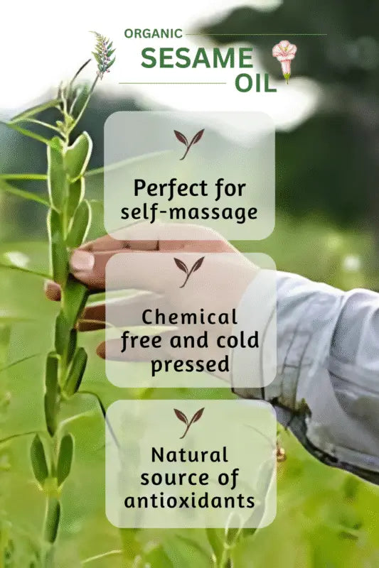 Top benefits of cold pressed sesame oil for hair and skin care from Champi Oil.